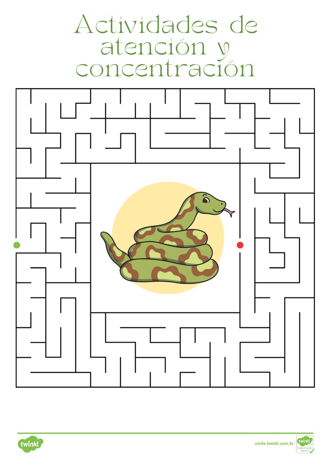Laberinto de la serpiente — Retos cognitivos