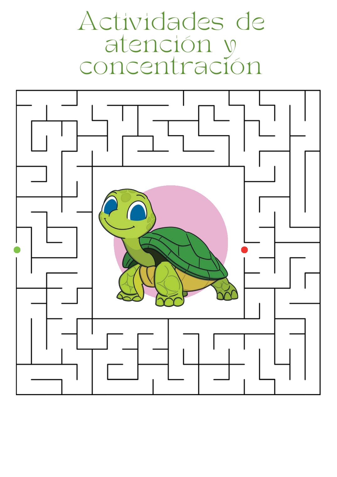 Laberinto de la tortuga — Retos cognitivos